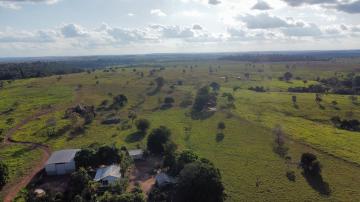 FAZENDA LINHA 200, 127 ALQUEIRES.