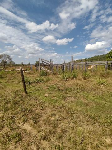 SITIO A VENDA NOVA BRASILANDIA