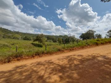 imagem 2 - SITIO A VENDA NOVA BRASILANDIA imagem 2 - SITIO A VENDA NOVA BRASILANDIA