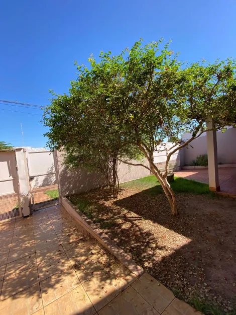 imagem 5 - Casas - Casa imagem 5 - Casas - Casa