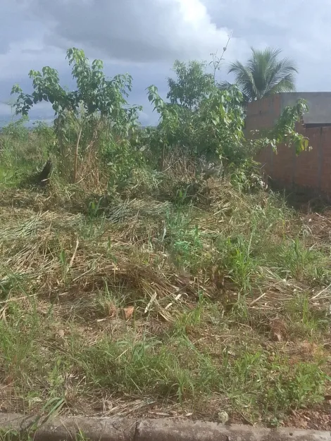 imagem 3 - TERRENO PARA A VENDA NO BAIRRO VISTA ALEGRE imagem 3 - TERRENO PARA A VENDA NO BAIRRO VISTA ALEGRE