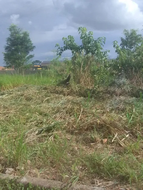 imagem 4 - TERRENO PARA A VENDA NO BAIRRO VISTA ALEGRE imagem 4 - TERRENO PARA A VENDA NO BAIRRO VISTA ALEGRE