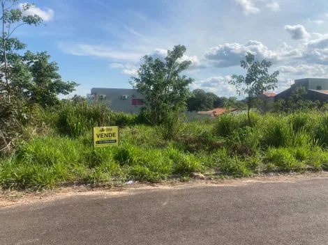 imagem 2 - Terrenos - Terreno imagem 2 - Terrenos - Terreno