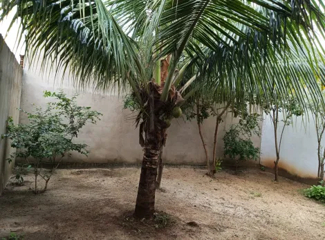 imagem 5 - IMÓVEL EM ÓTIMA LOCALIZAÇÃO PRÓXIMO A MERCADO,CRECHE,ESCOLA,E POSTO DE SAUDE. imagem 5 - IMÓVEL EM ÓTIMA LOCALIZAÇÃO PRÓXIMO A MERCADO,CRECHE,ESCOLA,E POSTO DE SAUDE.