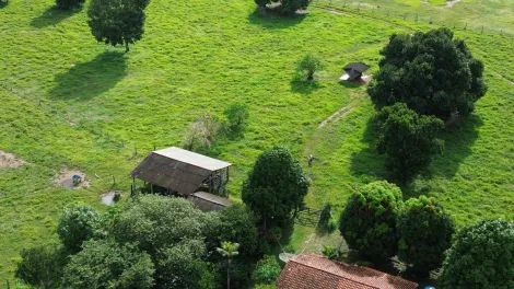 imagem 2 - Sitio a venda imagem 2 - Sitio a venda