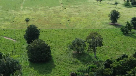 imagem 3 - Sitio a venda imagem 3 - Sitio a venda
