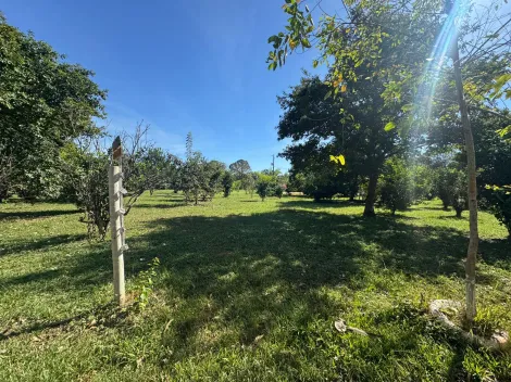 imagem 5 - CHÁCARA PARA MORADIA E LAZER BEM PRÓXIMA DA CIDADE imagem 5 - CHÁCARA PARA MORADIA E LAZER BEM PRÓXIMA DA CIDADE