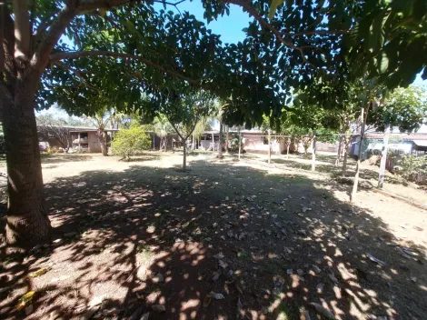 imagem 3 - TERRENO A VENDA imagem 3 - TERRENO A VENDA