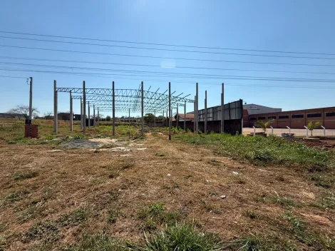 imagem 3 - BARRACAO COMERCIAL NA AV CASTELO BRANCO PROXIMO Á HAVAN E VILA ROMANA imagem 3 - BARRACAO COMERCIAL NA AV CASTELO BRANCO PROXIMO Á HAVAN E VILA ROMANA