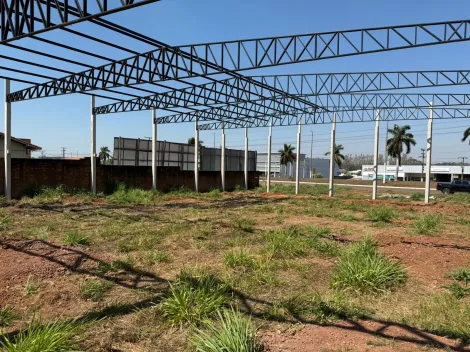 imagem 5 - BARRACAO COMERCIAL NA AV CASTELO BRANCO PROXIMO Á HAVAN E VILA ROMANA imagem 5 - BARRACAO COMERCIAL NA AV CASTELO BRANCO PROXIMO Á HAVAN E VILA ROMANA
